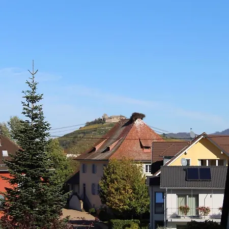 Ferienwohnung Im Weingewoelbe Staufen im Breisgau Eksteriør billede