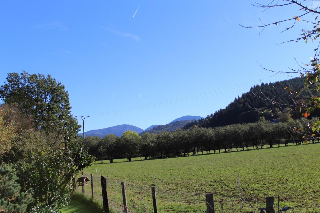 Appartement Im Weingewoelbe Staufen-en-Brisgau
